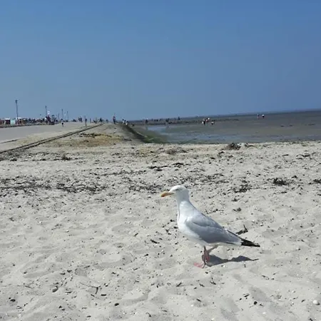 Tatil Evi With 1 Bedroom Wittmund