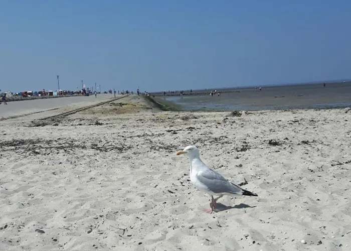 度假居 With 1 Bedroom 维特蒙德